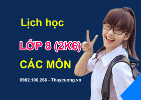 ✅ LỊCH HỌC LỚP 8 (HS SINH 2006, NĂM HỌC 2019-2020)